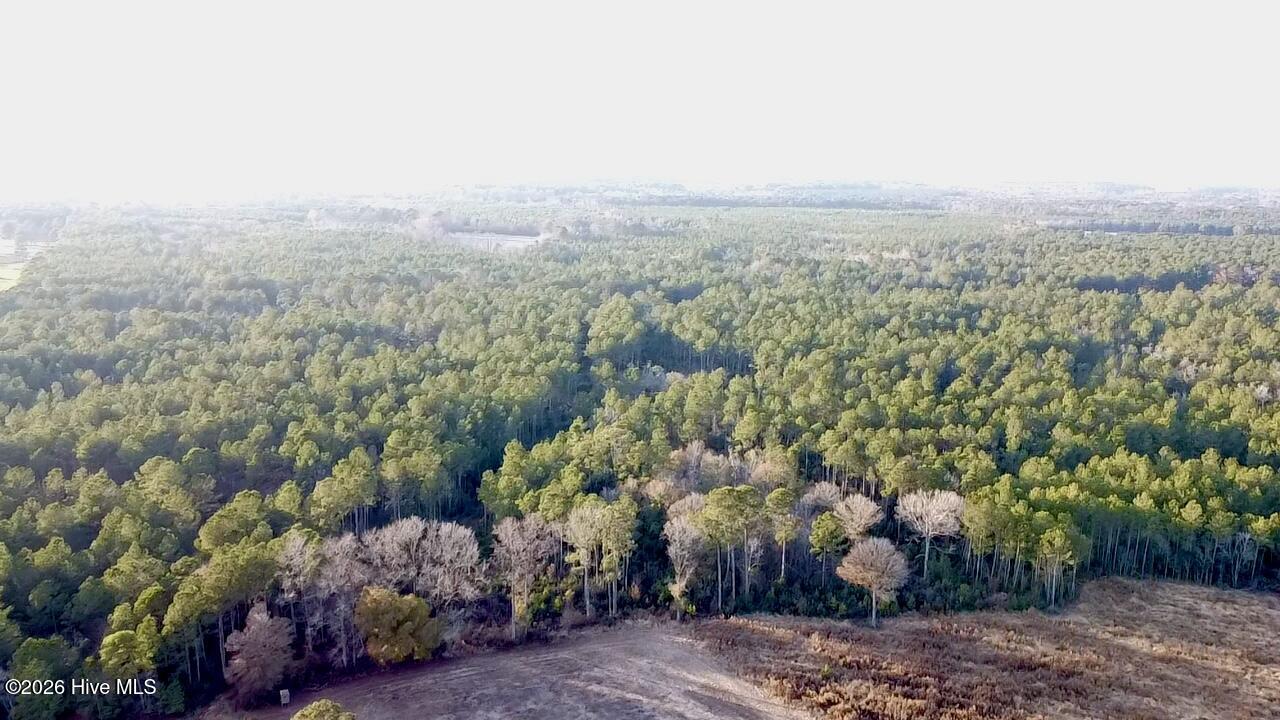 0 Rogers Mill Road Rose Hill, NC 28458 - Photo 23 of 62 2025-12-24-16-06-55-315