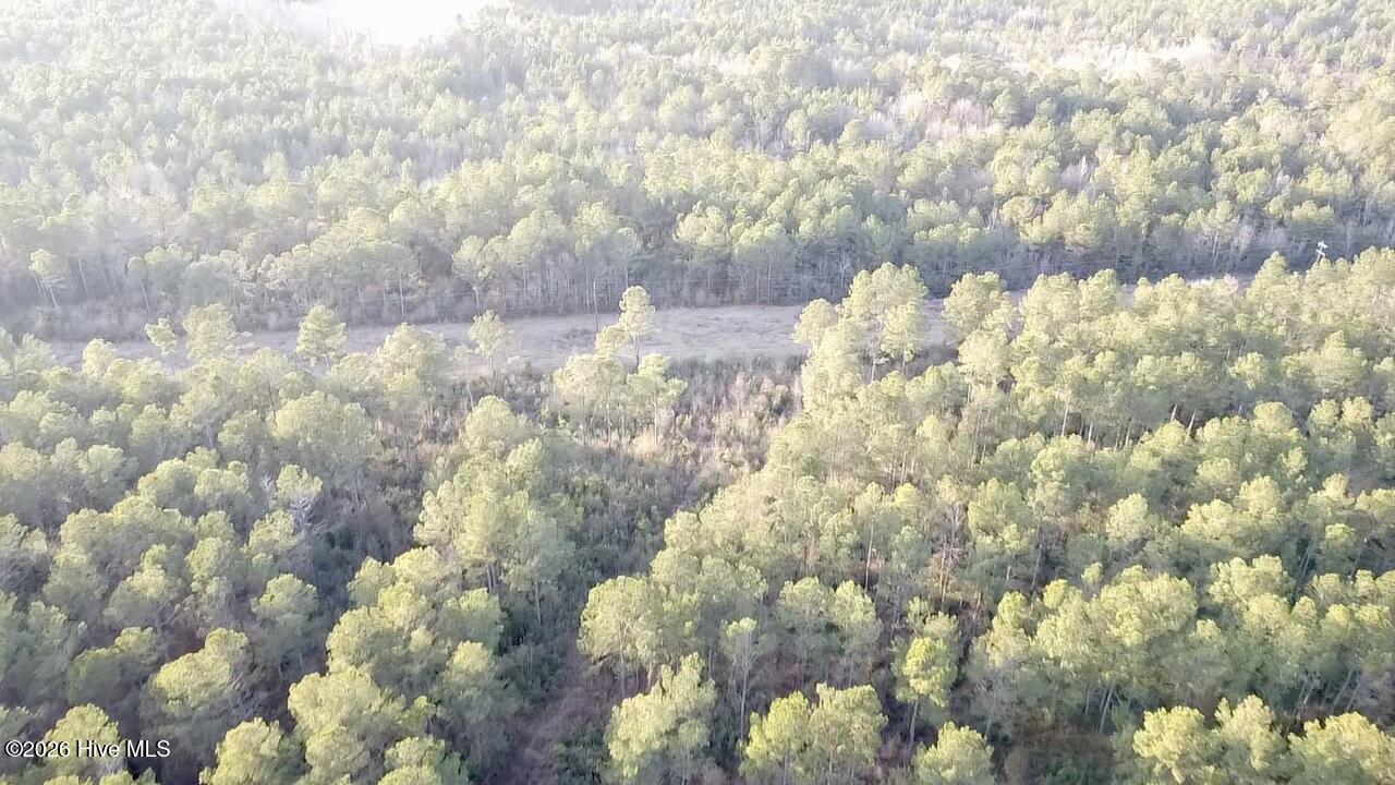 0 Rogers Mill Road Rose Hill, NC 28458 - Photo 24 of 62 2025-12-24-16-07-35-967