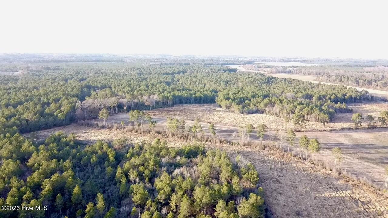 4900 Rogers Mill Road Rose Hill, NC 28458 - Photo 25 of 70 2025-12-24-16-06-26-480