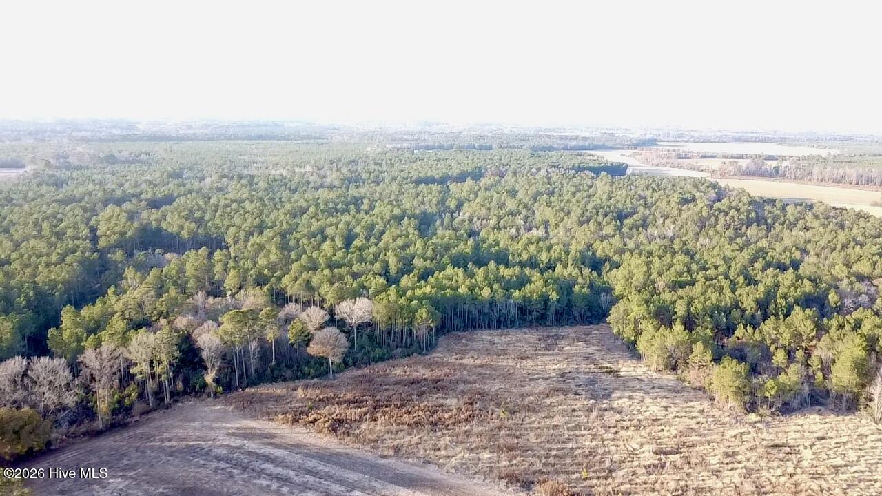 4900 Rogers Mill Road Rose Hill, NC 28458 - Photo 26 of 70 2025-12-24-16-06-51-636