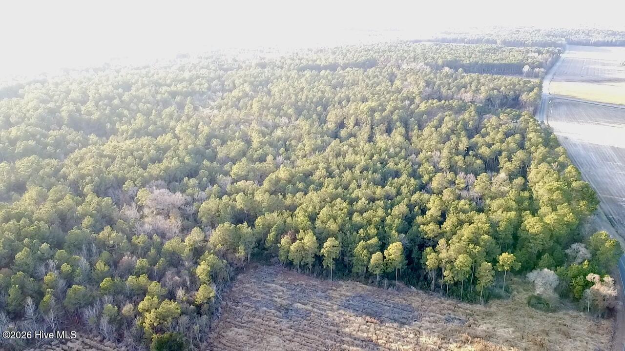 4900 Rogers Mill Road Rose Hill, NC 28458 - Photo 29 of 70 2025-12-24-16-12-40-112