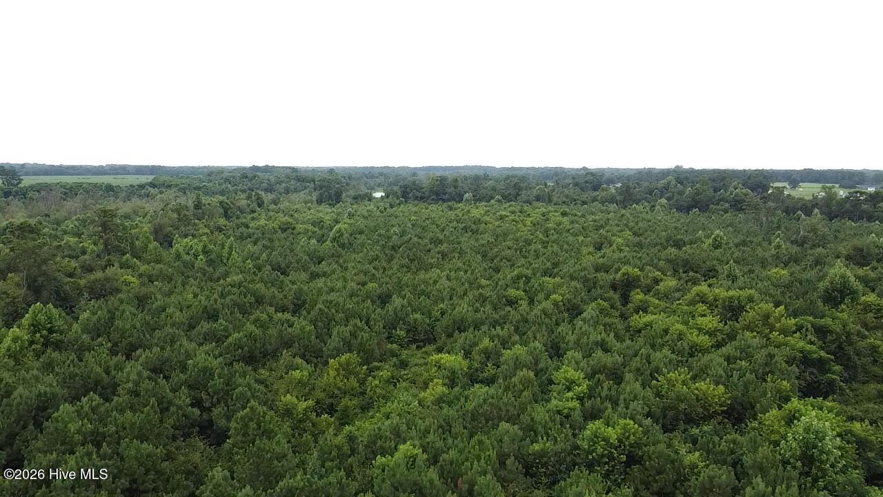 4900 Rogers Mill Road Rose Hill, NC 28458 - Photo 3 of 70 2025-08-05-11-27-04-702