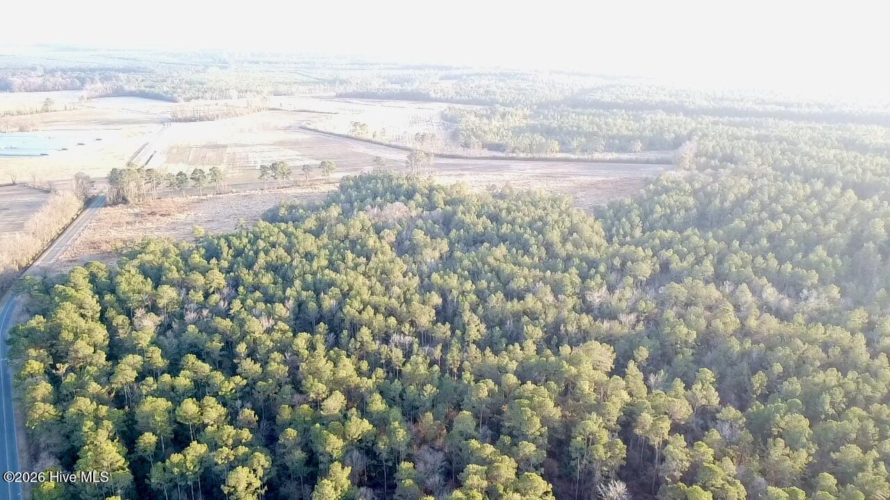 4900 Rogers Mill Road Rose Hill, NC 28458 - Photo 34 of 70 2025-12-24-16-24-38-898