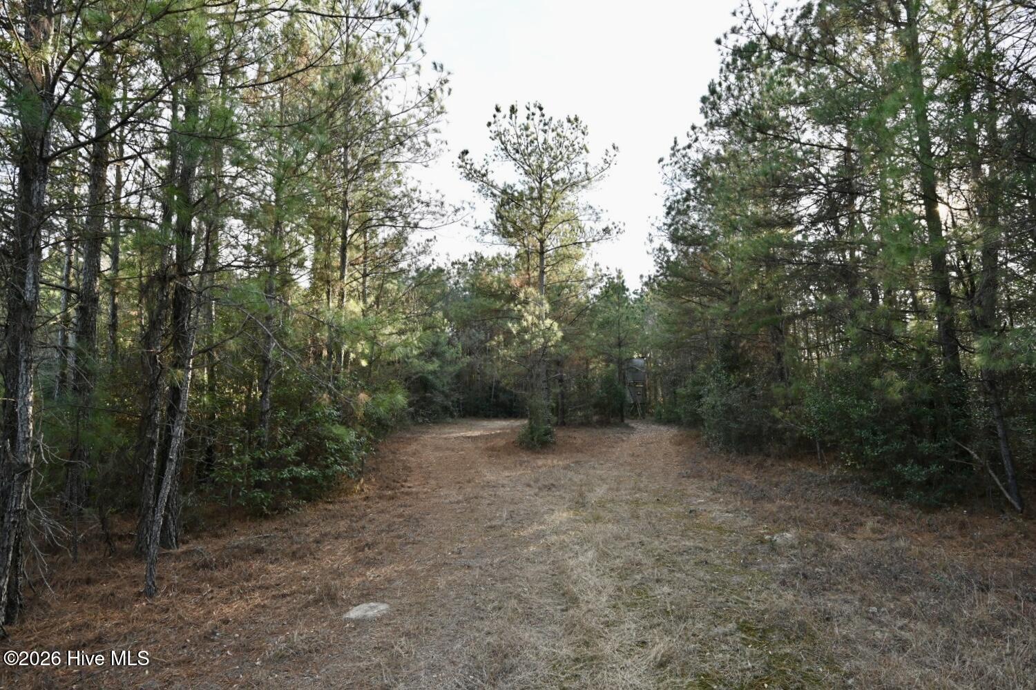 0 Rogers Mill Road Rose Hill, NC 28458 - Photo 37 of 62 DSC_1389