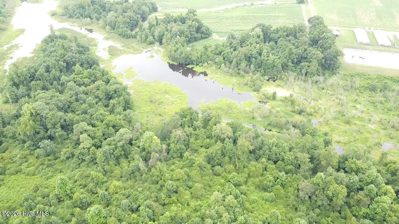 4900 Rogers Mill Road Rose Hill, NC 28458 - Photo 37 of 70 2025-08-05-11-22-17-245