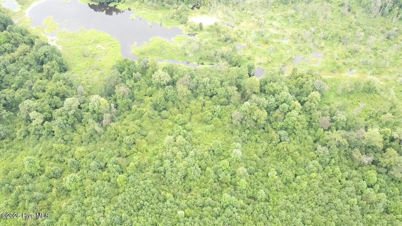 4900 Rogers Mill Road Rose Hill, NC 28458 - Photo 39 of 70 2025-08-05-11-23-13-105