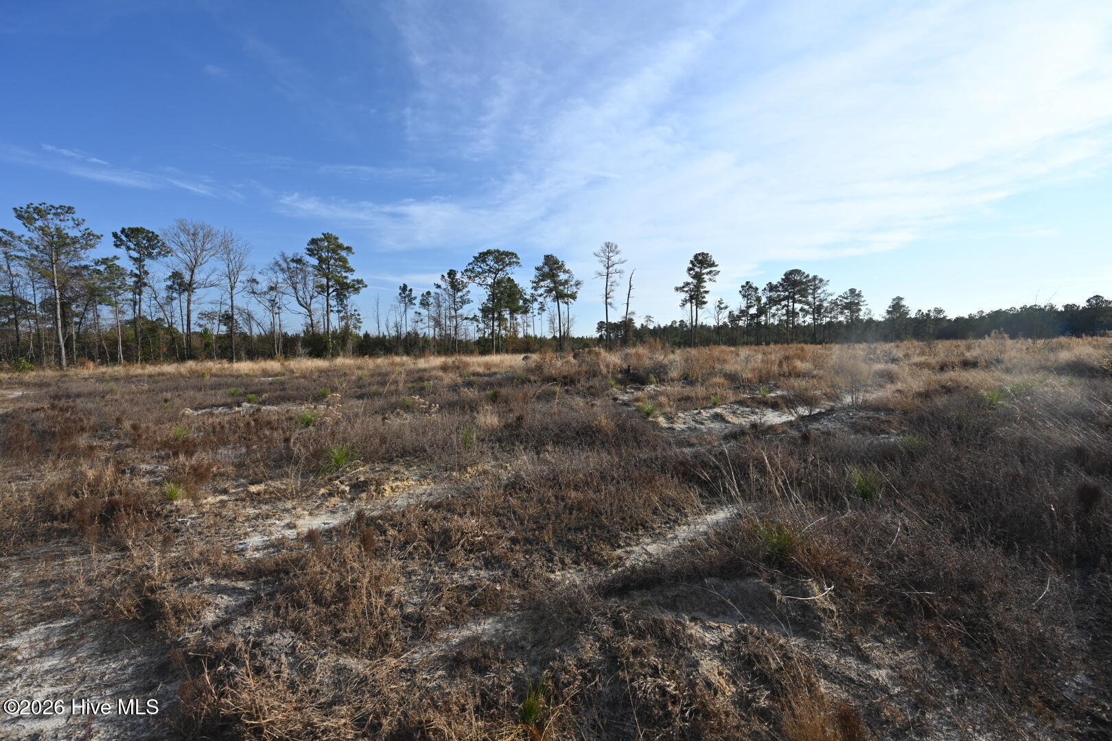 4900 Rogers Mill Road Rose Hill, NC 28458 - Photo 40 of 70 DSC_1382