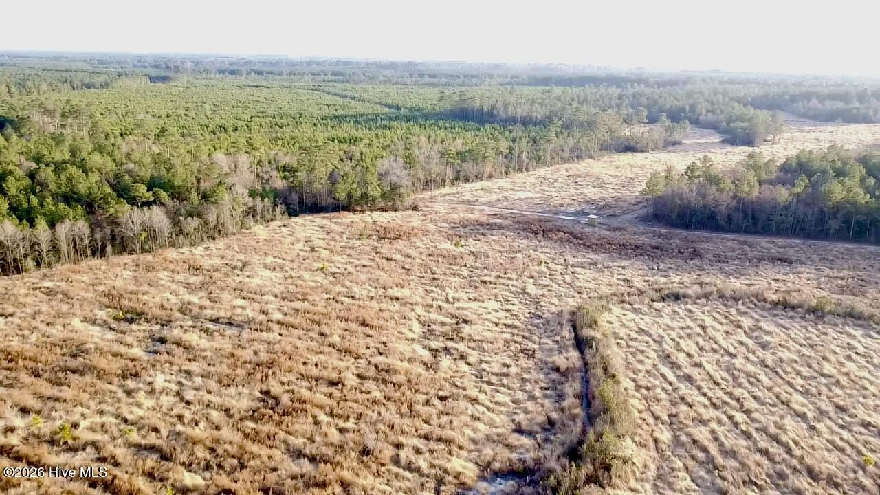 0 Rogers Mill Road Rose Hill, NC 28458 - Photo 4 of 62 2025-12-24-16-05-02-838