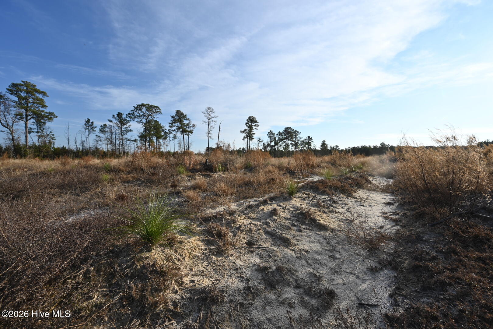4900 Rogers Mill Road Rose Hill, NC 28458 - Photo 41 of 70 DSC_1383