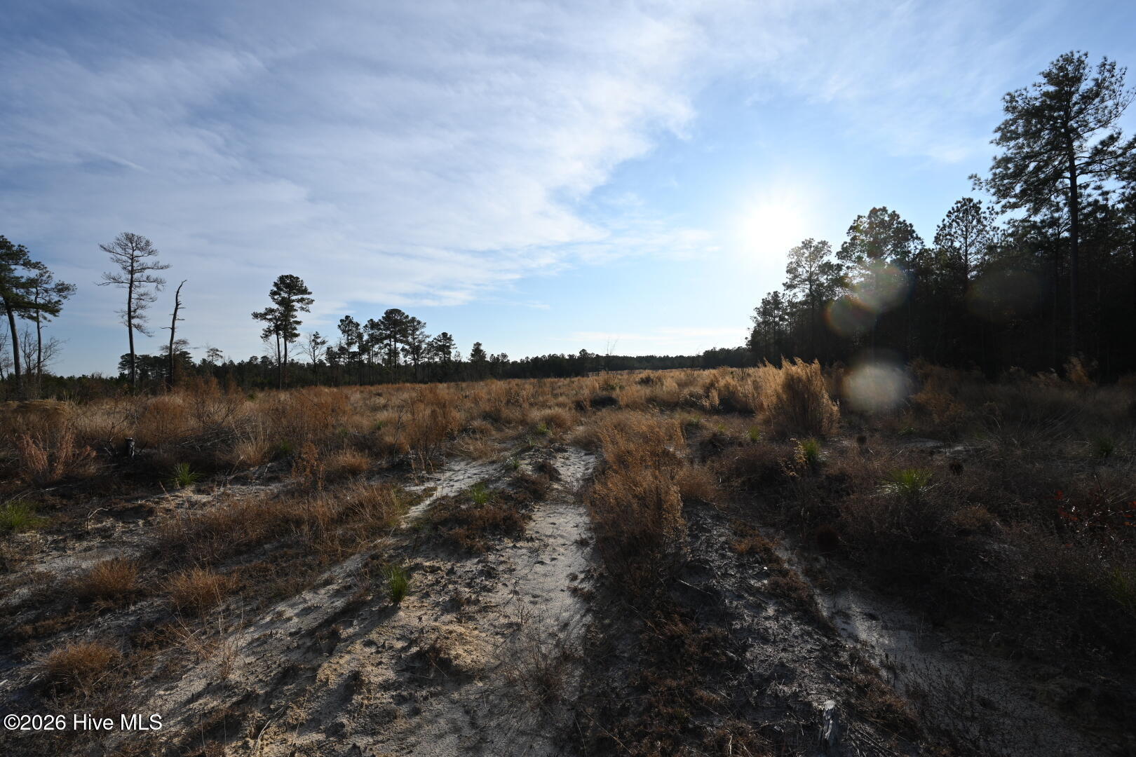4900 Rogers Mill Road Rose Hill, NC 28458 - Photo 42 of 70 DSC_1384