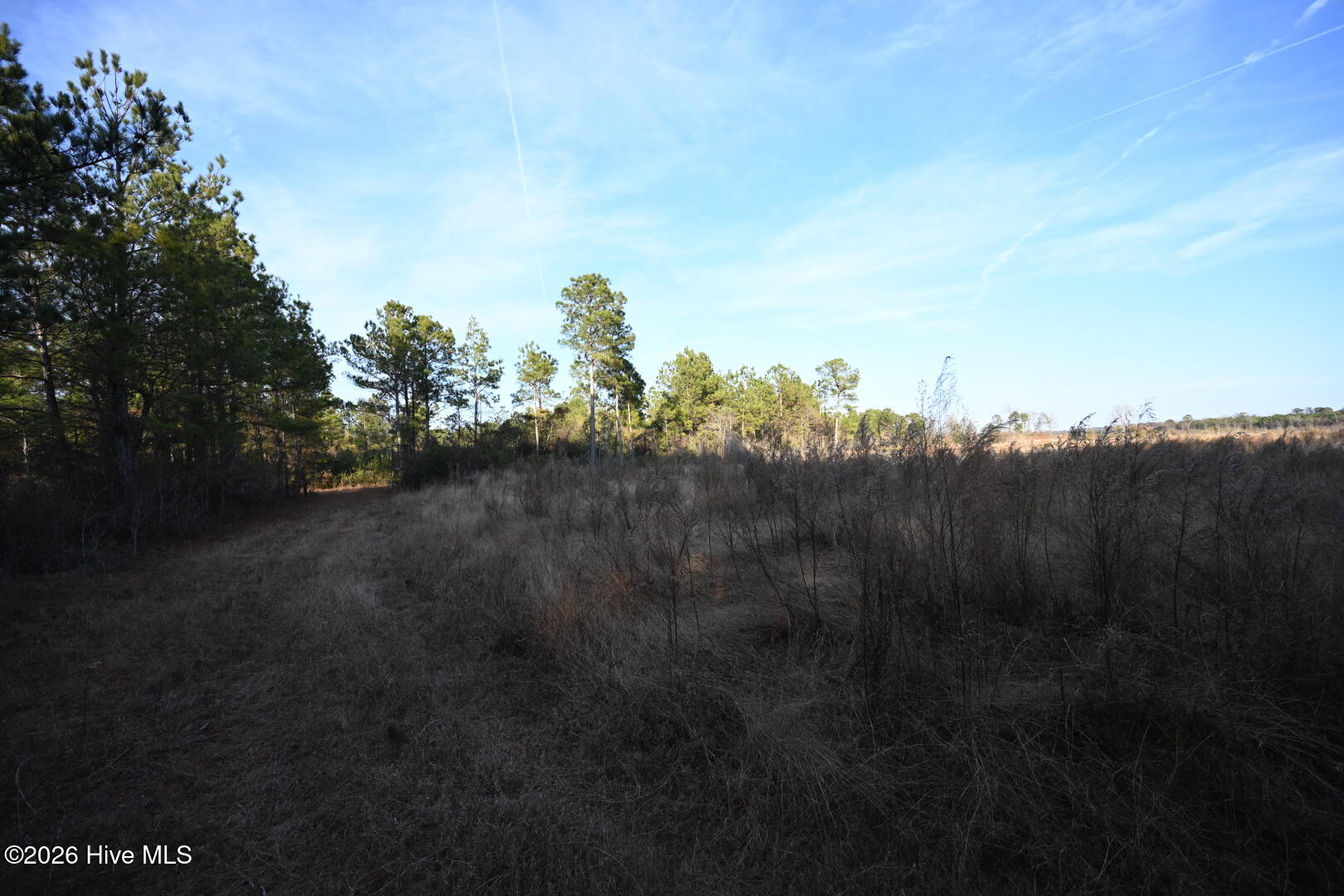 0 Rogers Mill Road Rose Hill, NC 28458 - Photo 43 of 62 DSC_1397