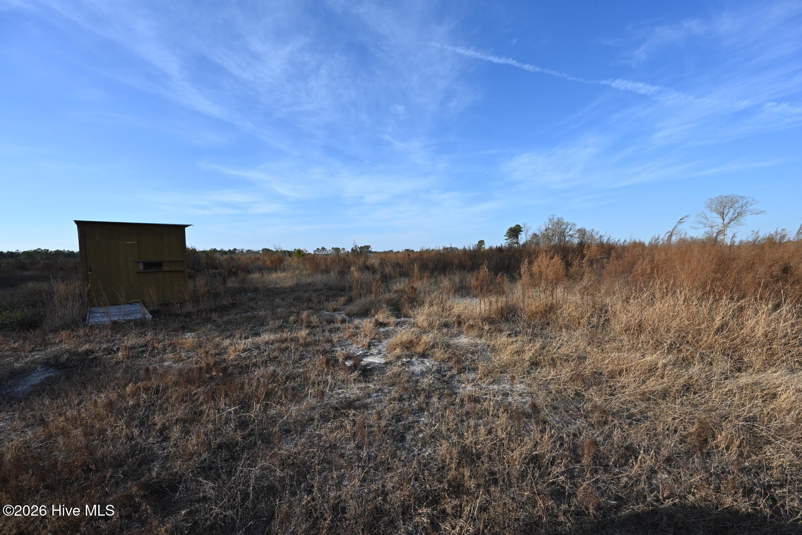 4900 Rogers Mill Road Rose Hill, NC 28458 - Photo 43 of 70 DSC_1387