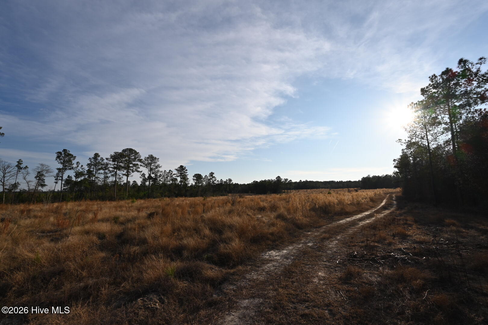 4900 Rogers Mill Road Rose Hill, NC 28458 - Photo 44 of 70 DSC_1388