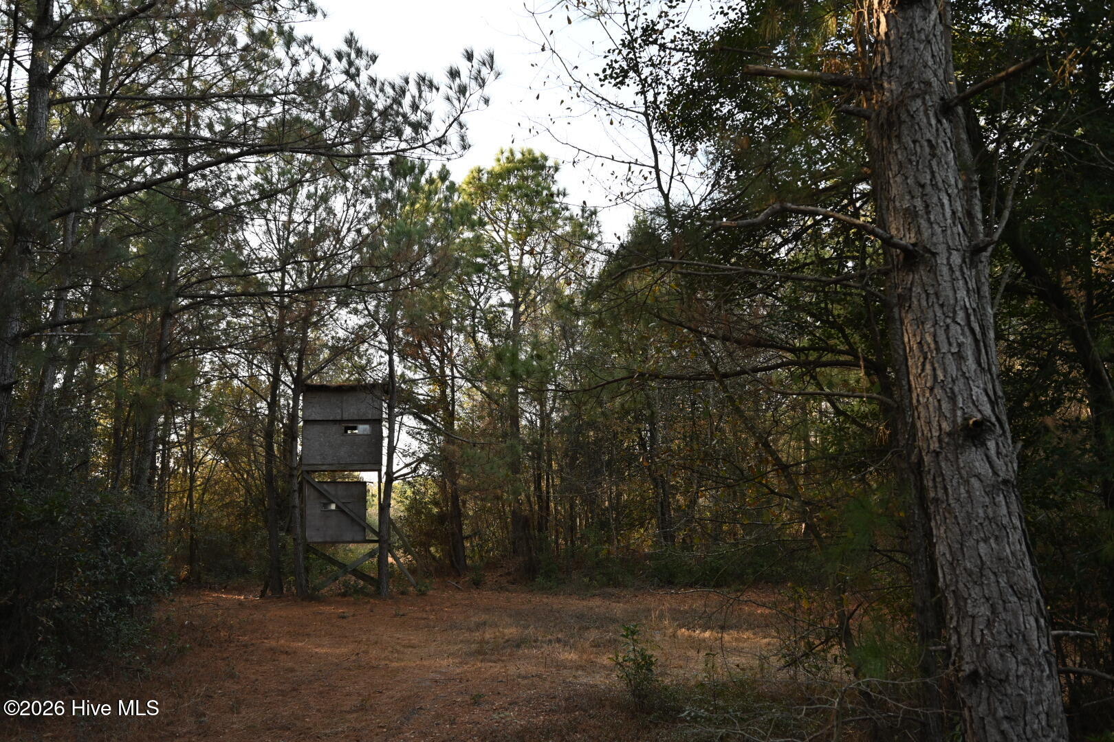 4900 Rogers Mill Road Rose Hill, NC 28458 - Photo 46 of 70 DSC_1390