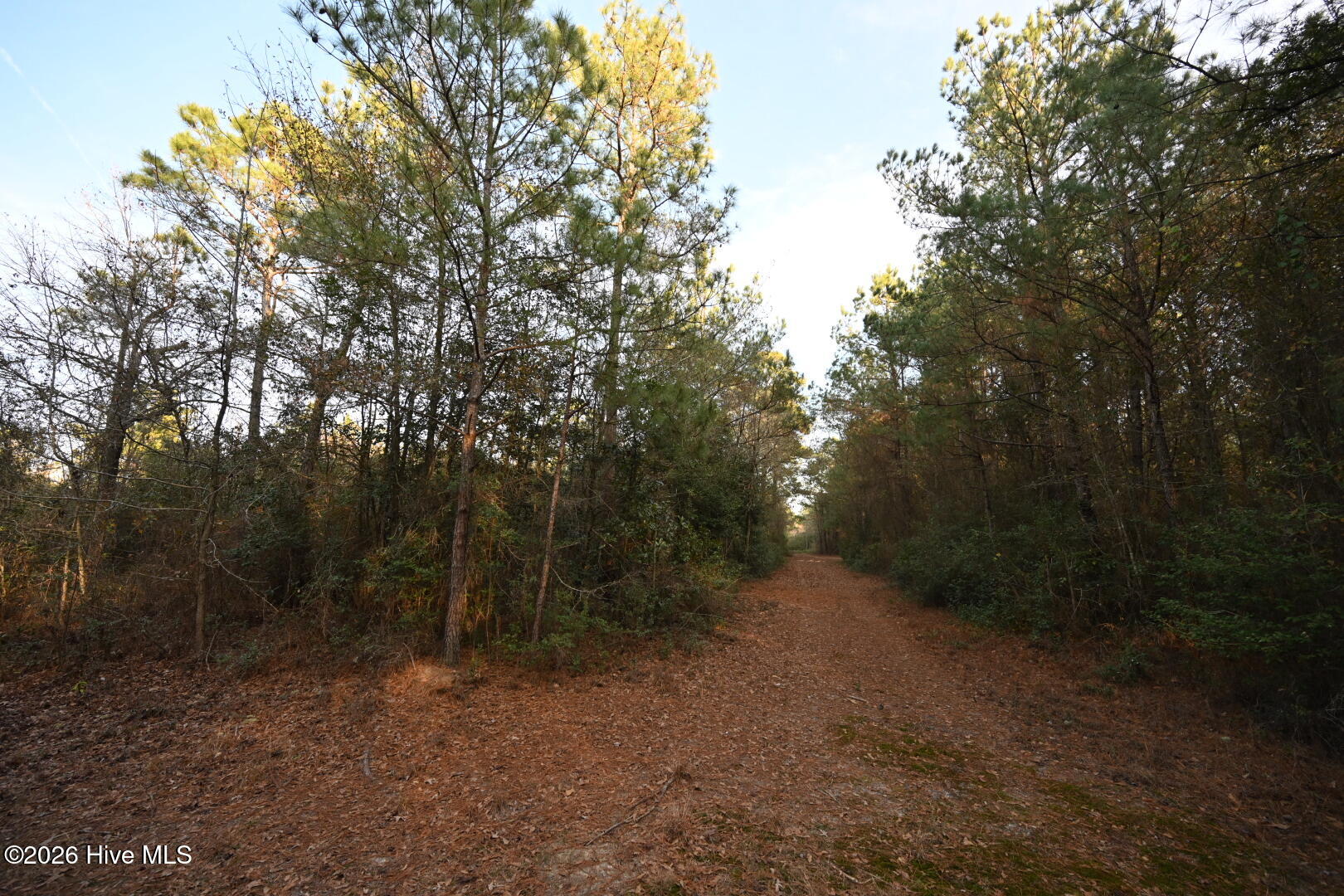 4900 Rogers Mill Road Rose Hill, NC 28458 - Photo 47 of 70 DSC_1391