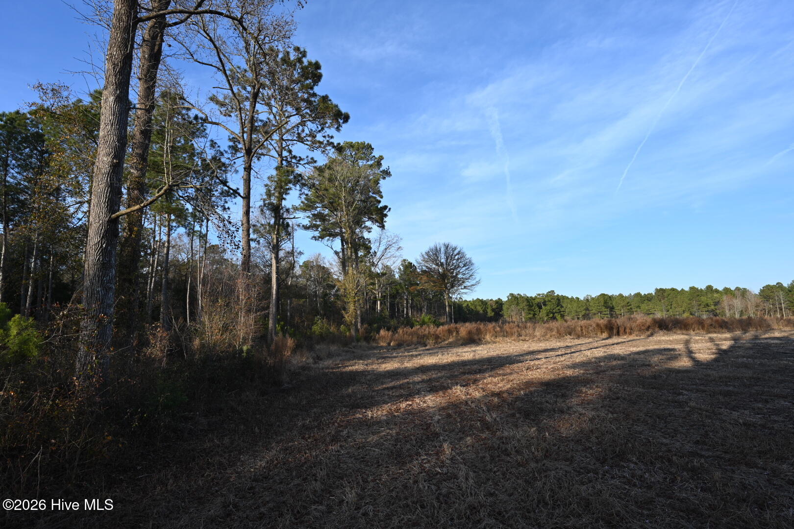 0 Rogers Mill Road Rose Hill, NC 28458 - Photo 47 of 62 DSC_1404