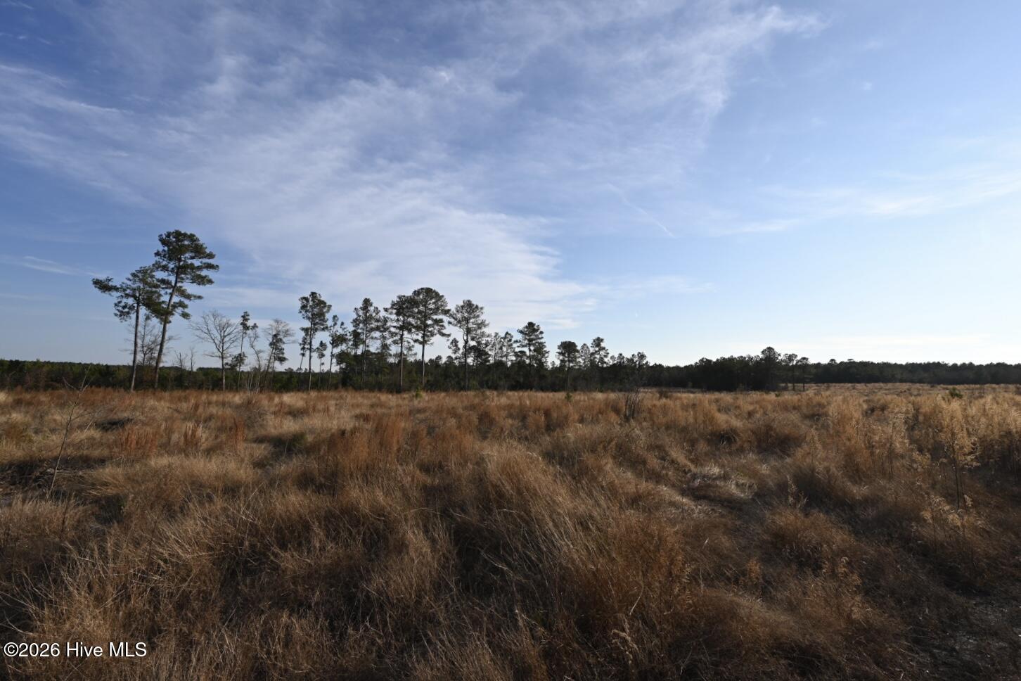 4900 Rogers Mill Road Rose Hill, NC 28458 - Photo 48 of 70 DSC_1392
