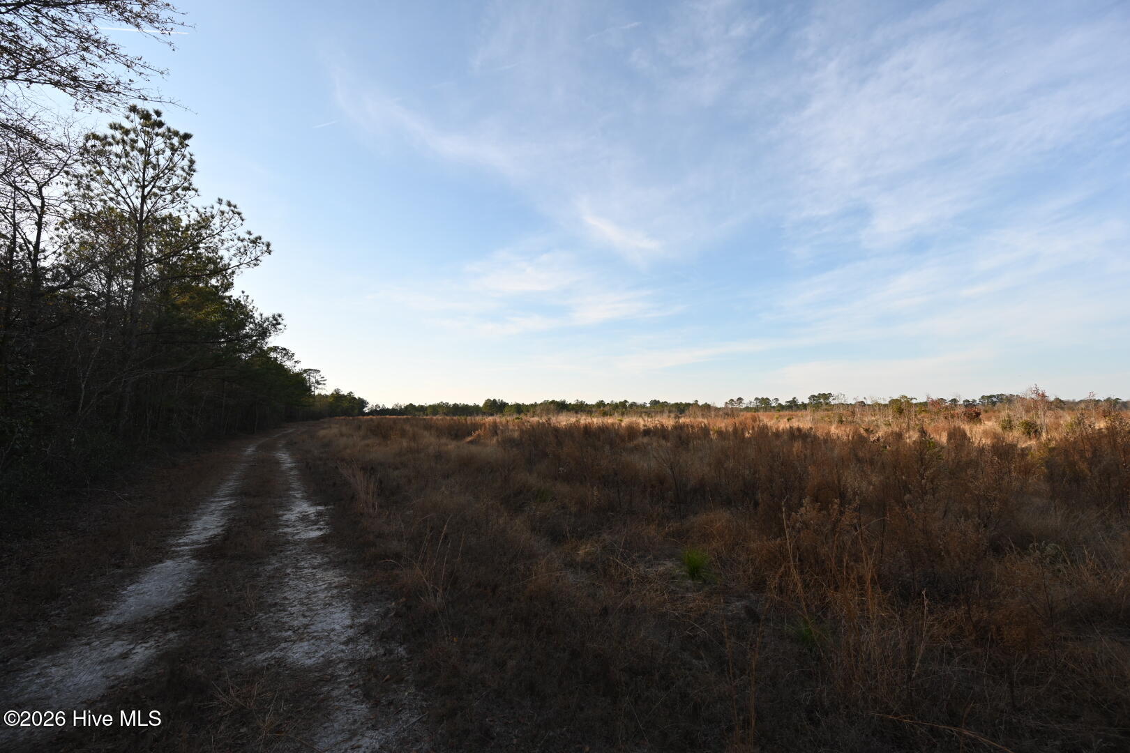 4900 Rogers Mill Road Rose Hill, NC 28458 - Photo 49 of 70 DSC_1393