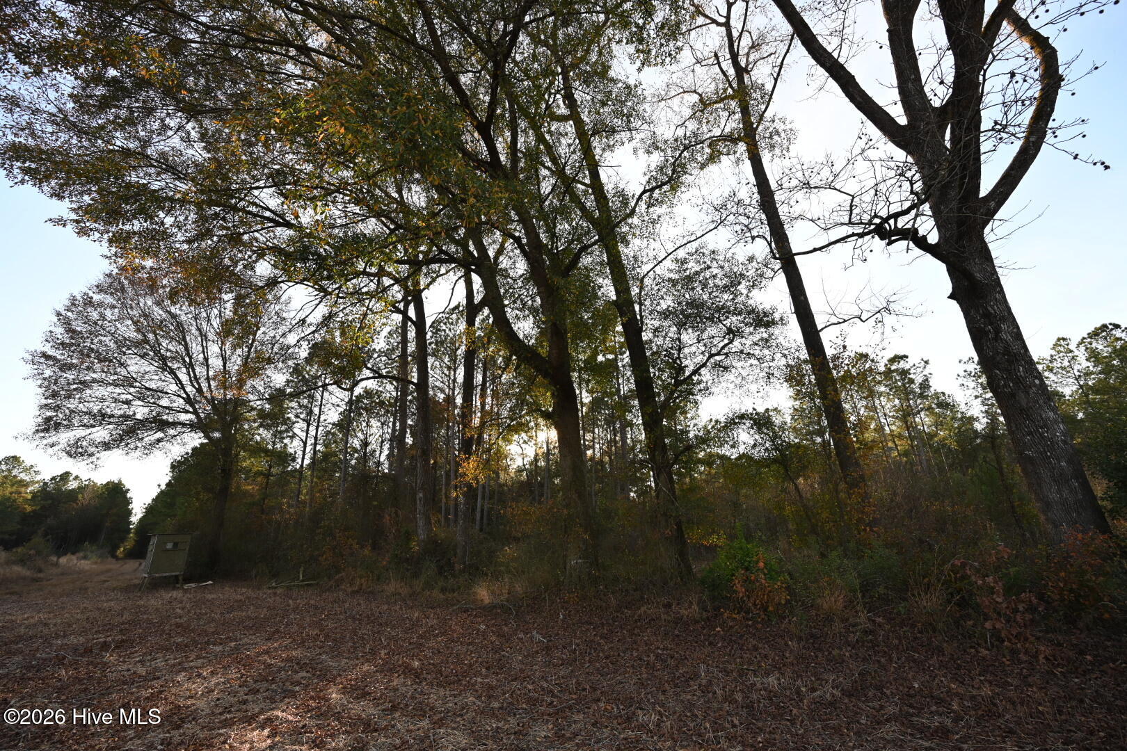 0 Rogers Mill Road Rose Hill, NC 28458 - Photo 50 of 62 DSC_1407