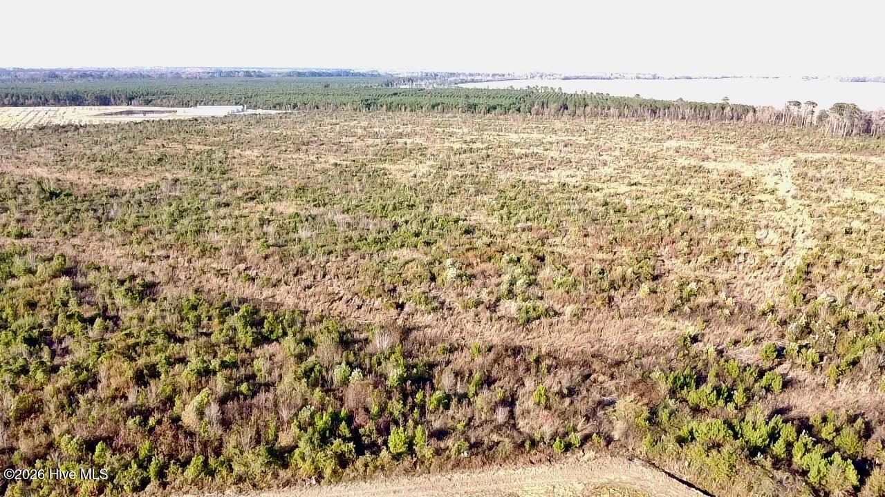 4900 Rogers Mill Road Rose Hill, NC 28458 - Photo 5 of 70 2025-11-16-15-10-07-845