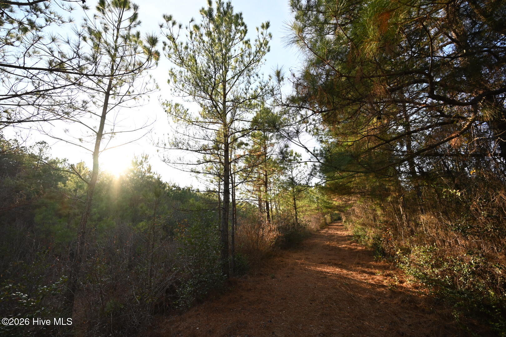 4900 Rogers Mill Road Rose Hill, NC 28458 - Photo 52 of 70 DSC_1398
