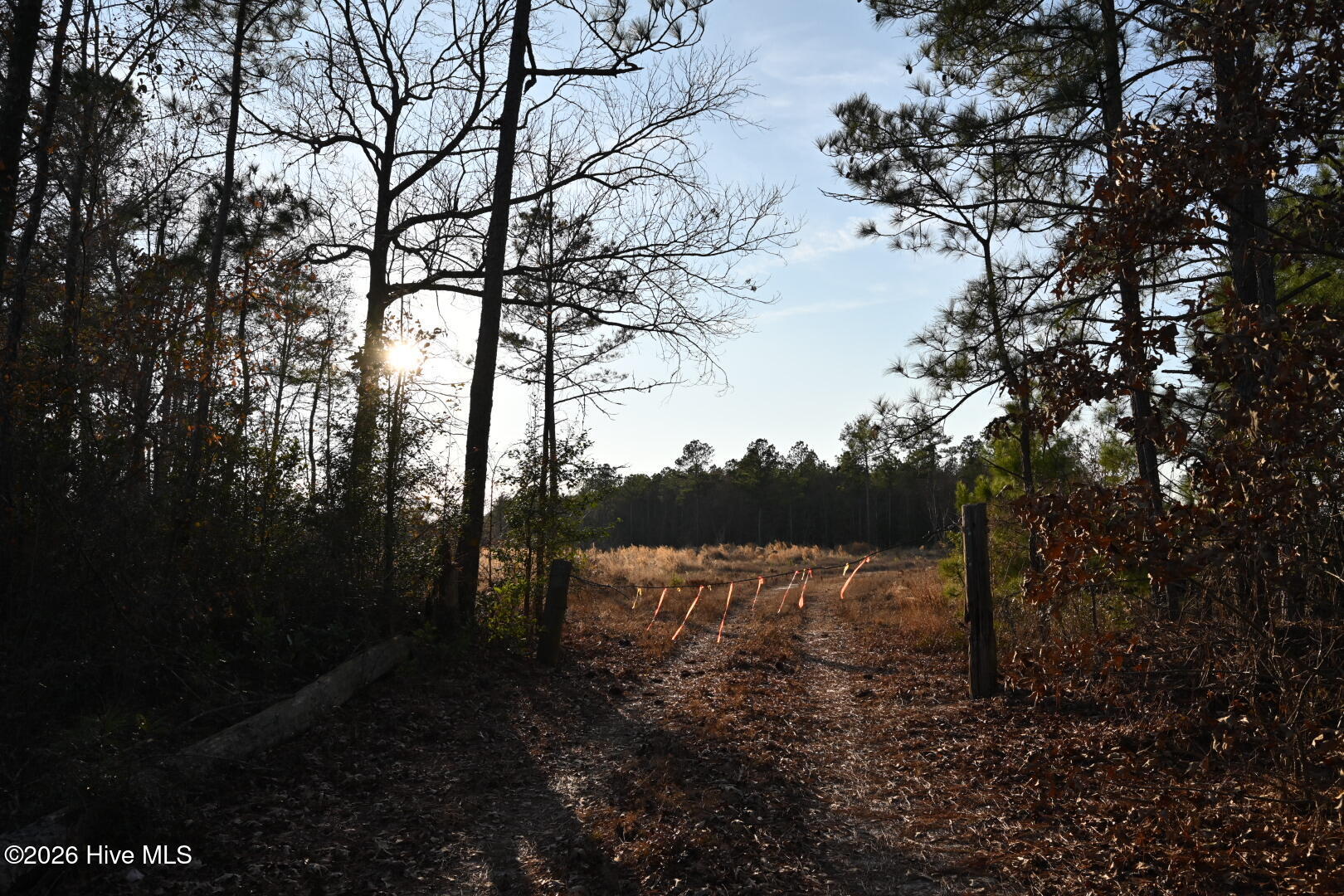 0 Rogers Mill Road Rose Hill, NC 28458 - Photo 52 of 62 DSC_1412