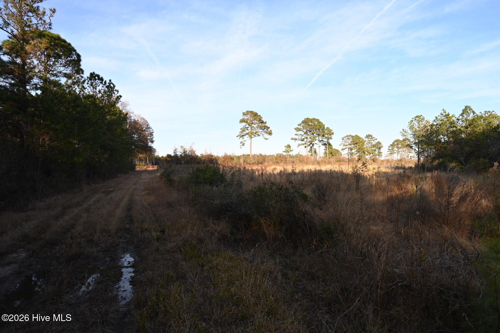 4900 Rogers Mill Road Rose Hill, NC 28458 - Photo 54 of 70 DSC_1401