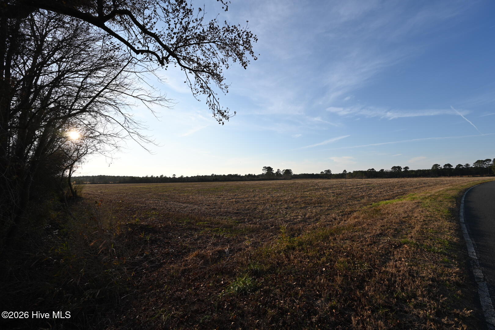 0 Rogers Mill Road Rose Hill, NC 28458 - Photo 55 of 62 DSC_1418