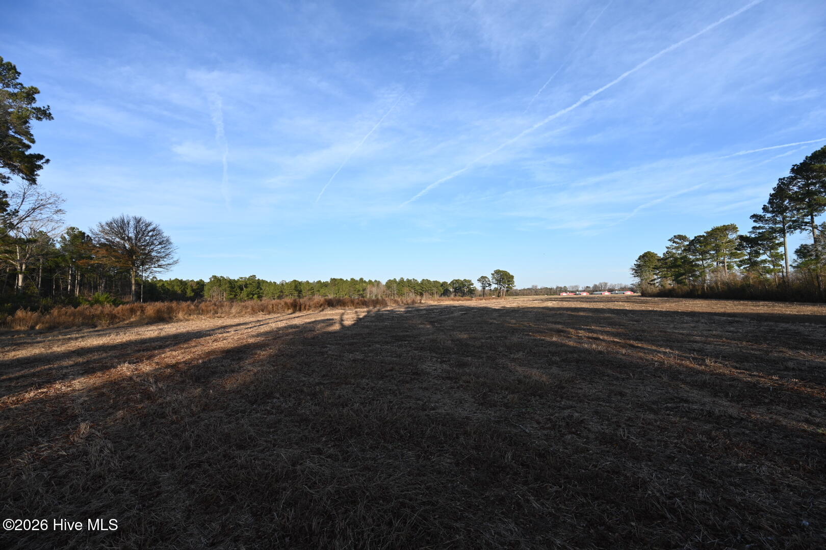 4900 Rogers Mill Road Rose Hill, NC 28458 - Photo 56 of 70 DSC_1405