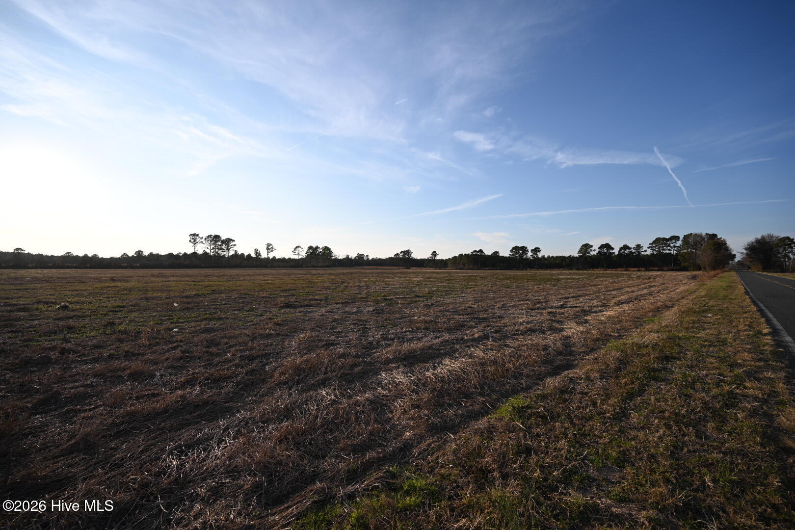 0 Rogers Mill Road Rose Hill, NC 28458 - Photo 56 of 62 DSC_1420