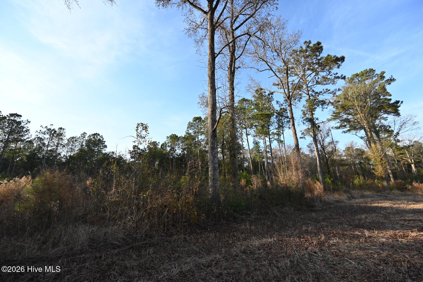 4900 Rogers Mill Road Rose Hill, NC 28458 - Photo 59 of 70 DSC_1408