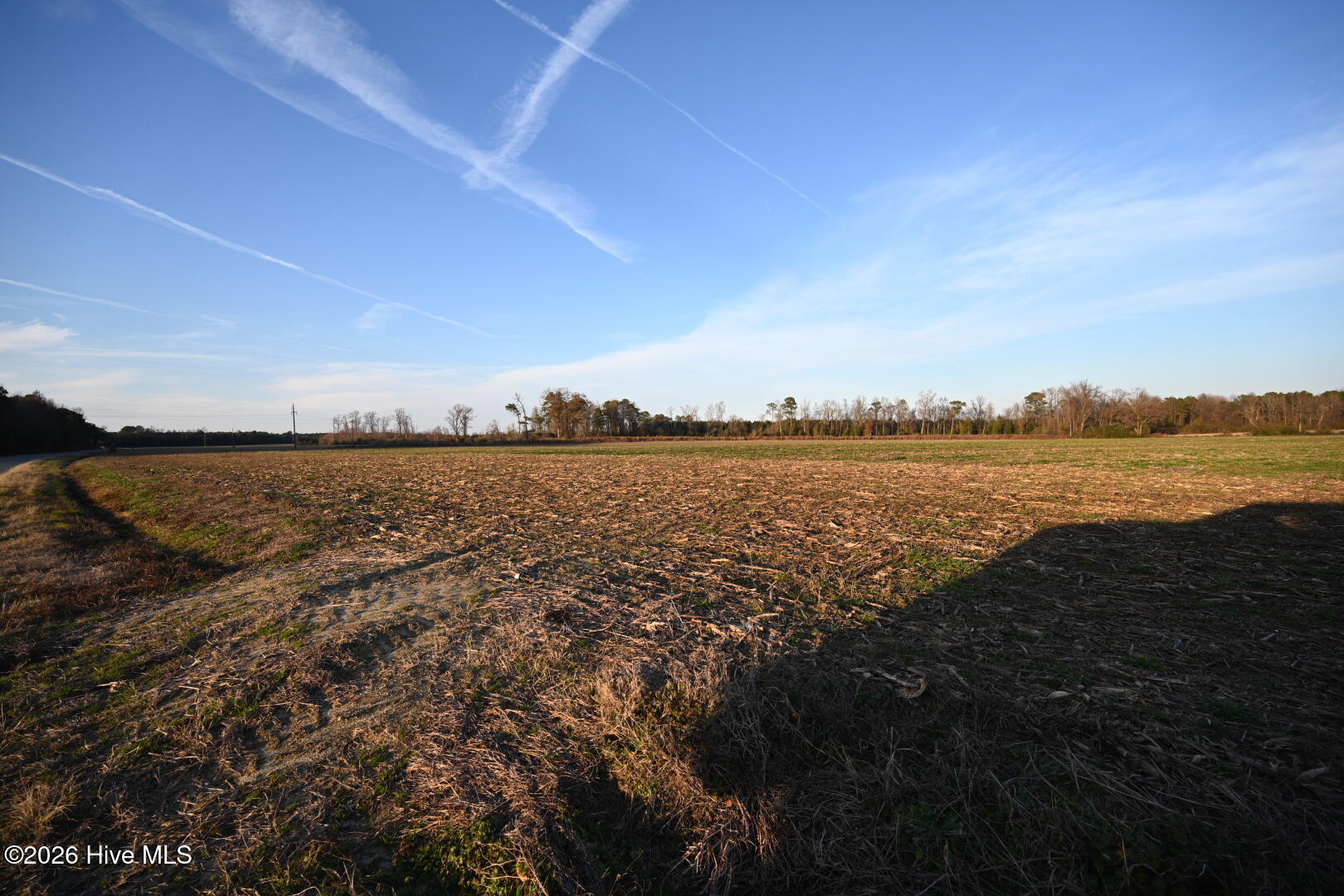 0 Rogers Mill Road Rose Hill, NC 28458 - Photo 60 of 62 DSC_1428