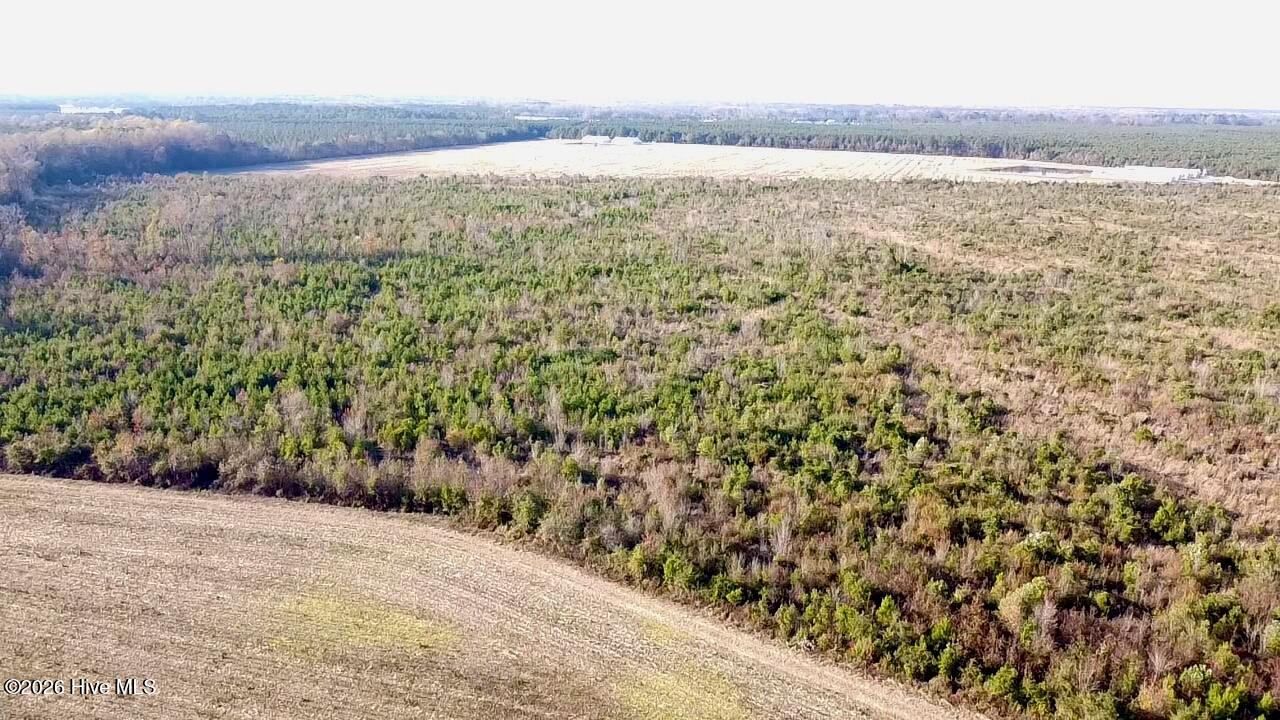 4900 Rogers Mill Road Rose Hill, NC 28458 - Photo 6 of 70 2025-11-16-15-10-16-587