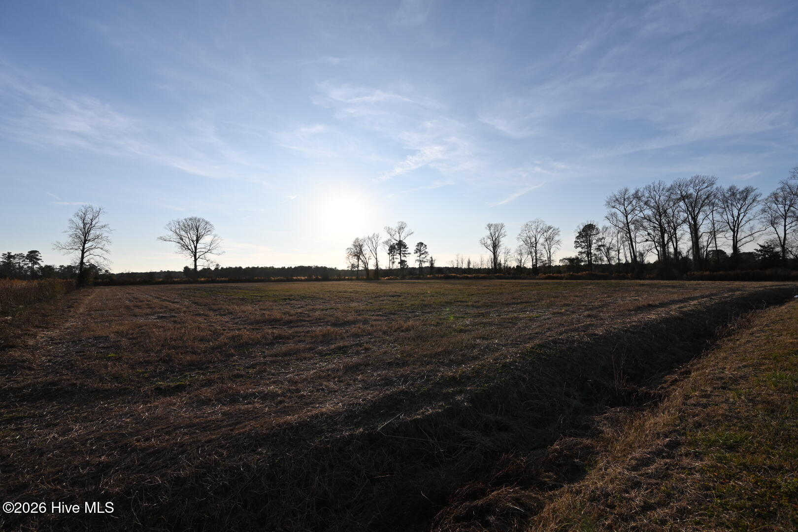 4900 Rogers Mill Road Rose Hill, NC 28458 - Photo 61 of 70 DSC_1414