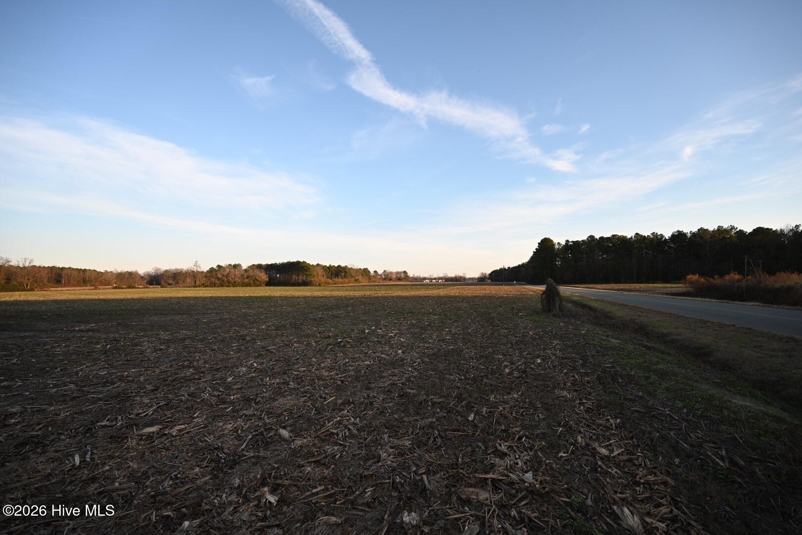 0 Rogers Mill Road Rose Hill, NC 28458 - Photo 62 of 62 DSC_1430