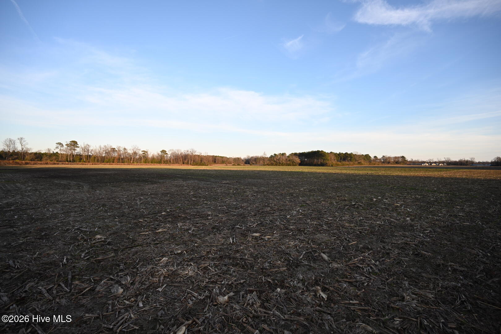 4900 Rogers Mill Road Rose Hill, NC 28458 - Photo 69 of 70 DSC_1429