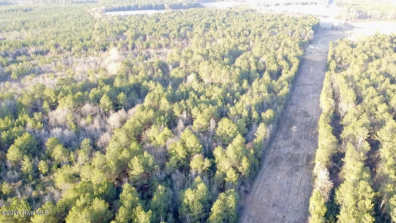 0 Rogers Mill Road Rose Hill, NC 28458 - Photo 9 of 62 2025-12-24-16-08-42-470