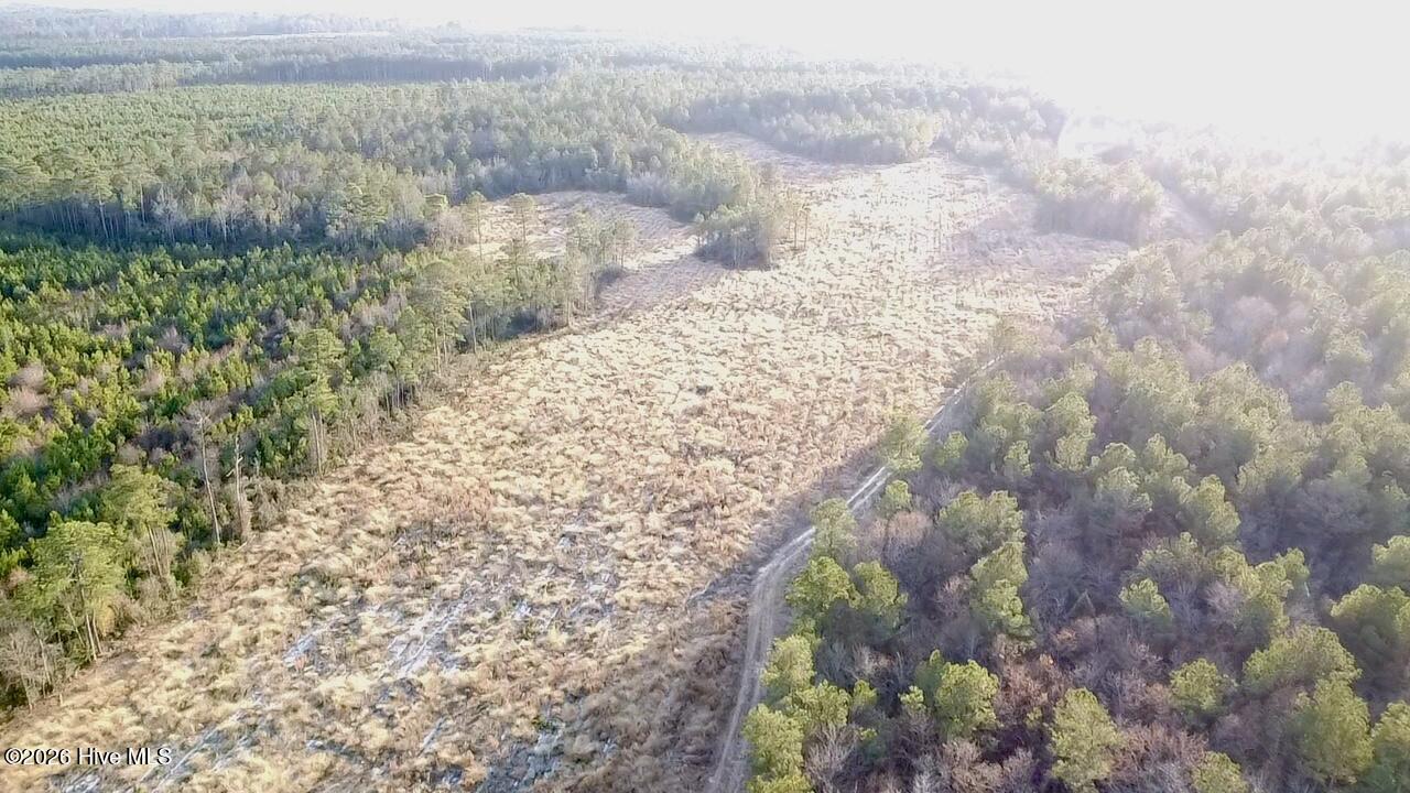 4900 Rogers Mill Road Rose Hill, NC 28458 - Photo 9 of 70 2025-12-24-16-05-19-477