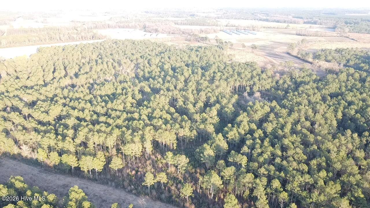 0 Rogers Mill Road Rose Hill, NC 28458 - Photo 10 of 62 2025-12-24-16-09-24-204