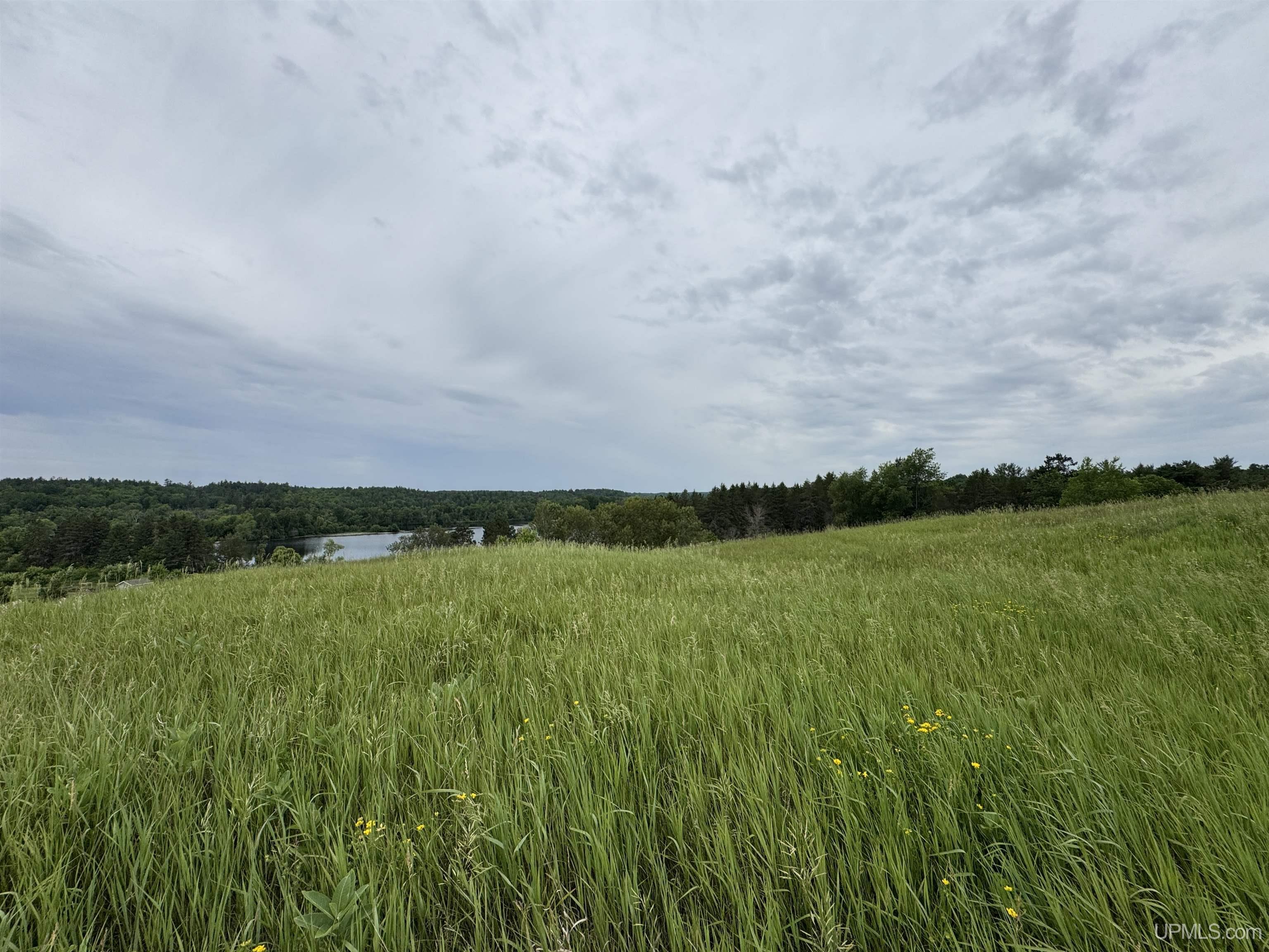 Tbd New York Lake Road Vulcan, MI 49892 - Photo 16 of 23