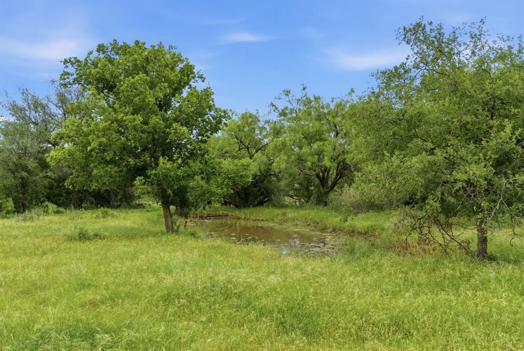 1 Fm 880 Moran, TX 76464 - Photo 8 of 13