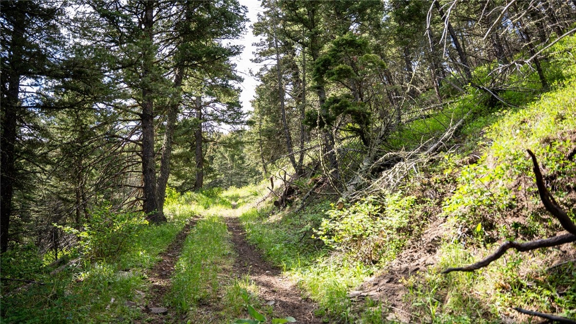 Tbd Nye Road Fishtail, MT 59028 - Photo 9 of 50 Gallery Image 9