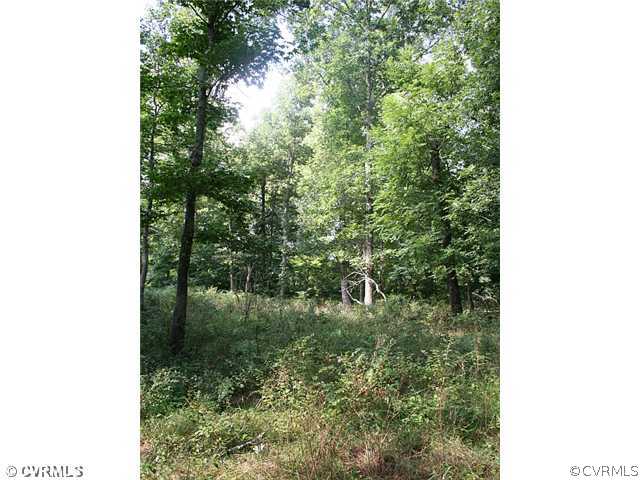 989 Cartersville Road Cartersville, VA 23027 - Photo 10 of 12 Land - The stream buffers have nice hardwoods & th