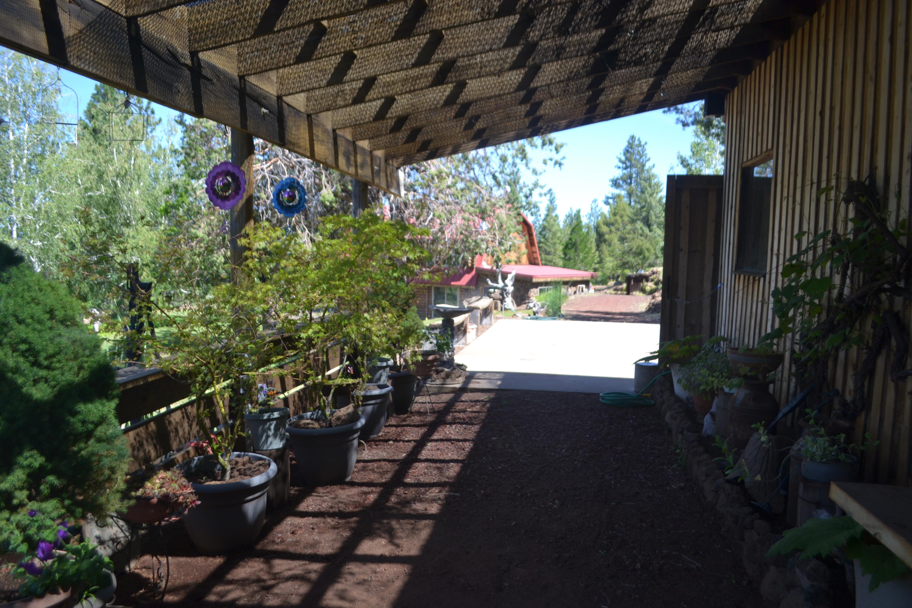 542-405 Punkin Center Road Bieber, CA 96009 - Photo 91 of 127 SHOP PATIO (2)