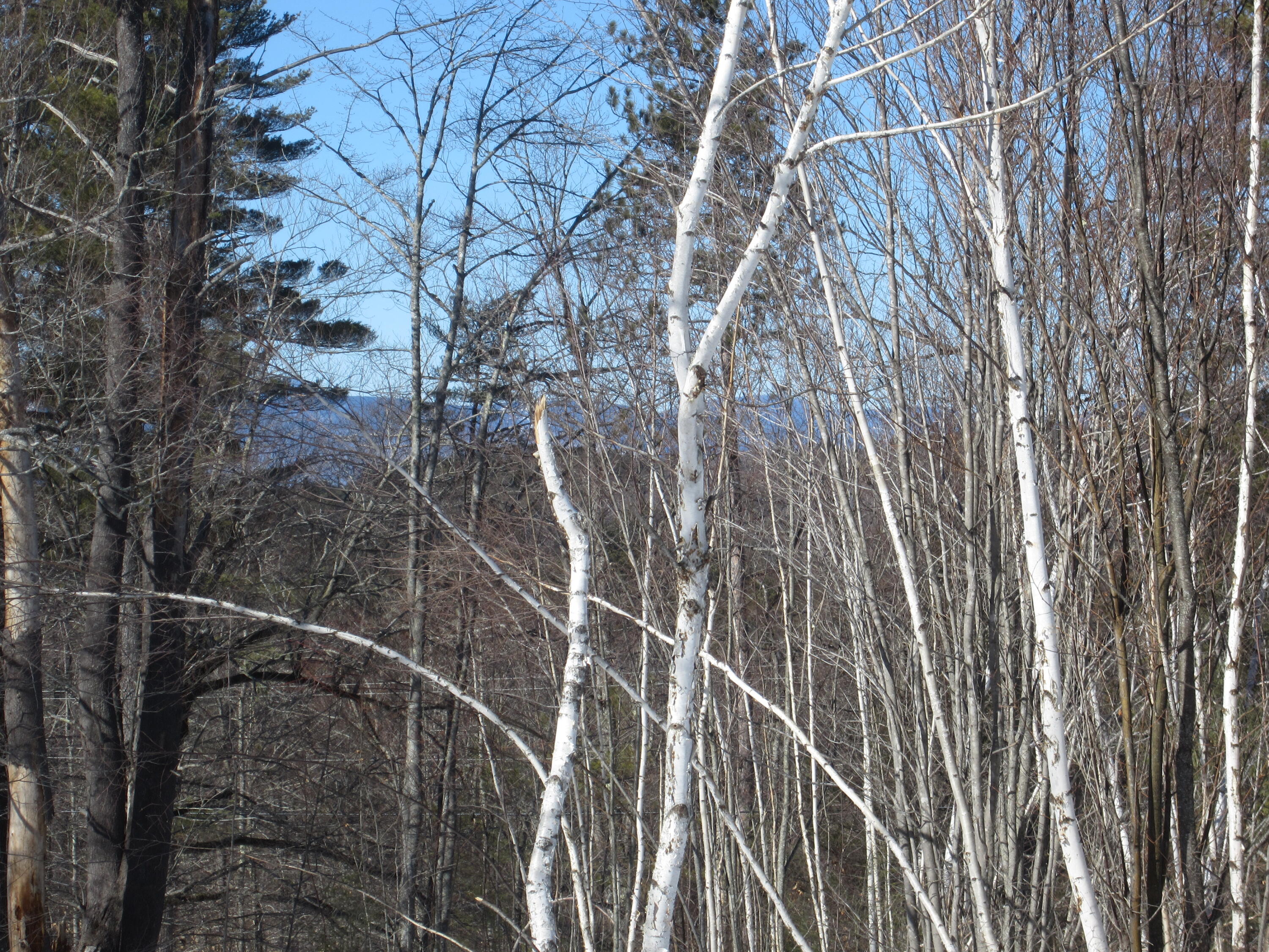 15-a-2 Lovell Road Harrison, ME 04040 - Photo 2 of 7 15A-2 View Winter 3