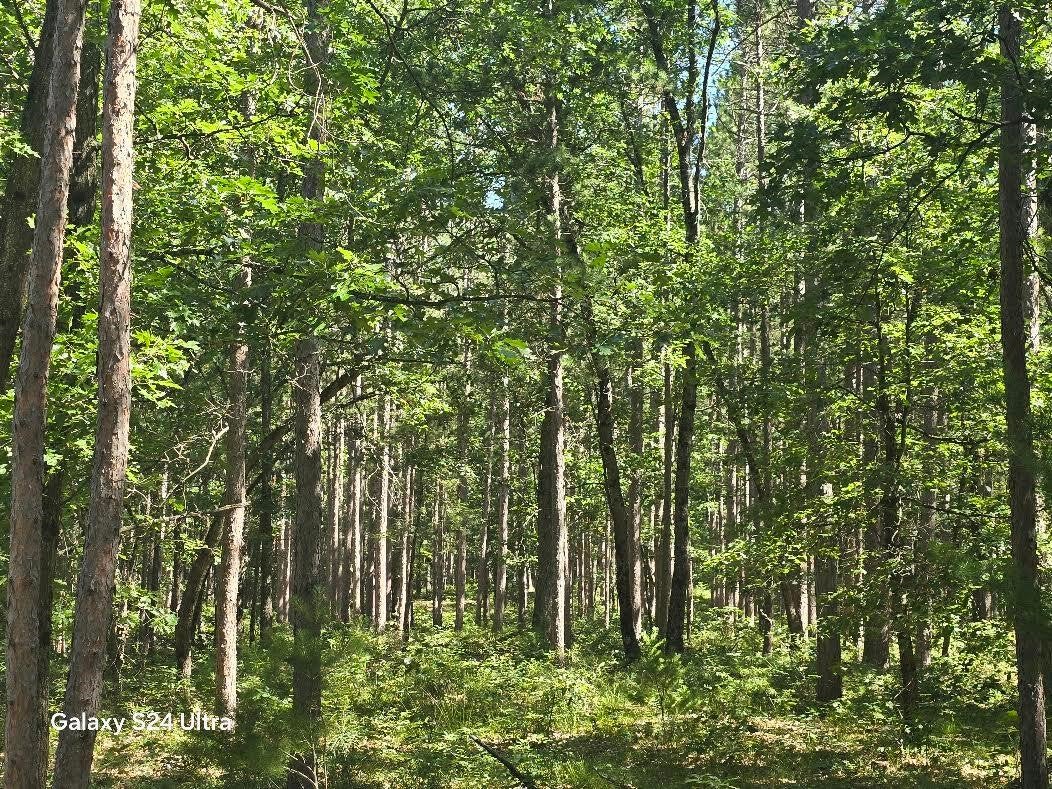 3875 Skocelas Road South Manistee, MI 49660 - Photo 9 of 11 Gallery Image 9