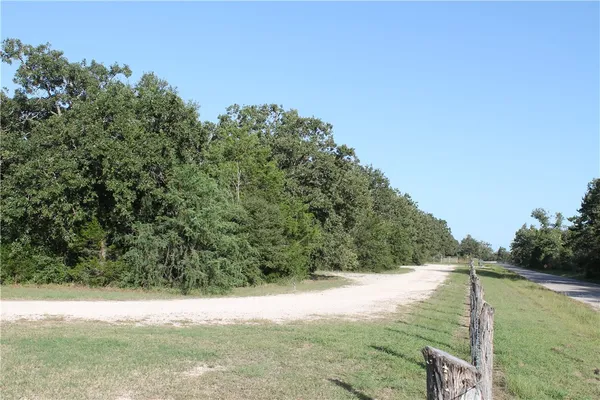 a view of a yard with a tree