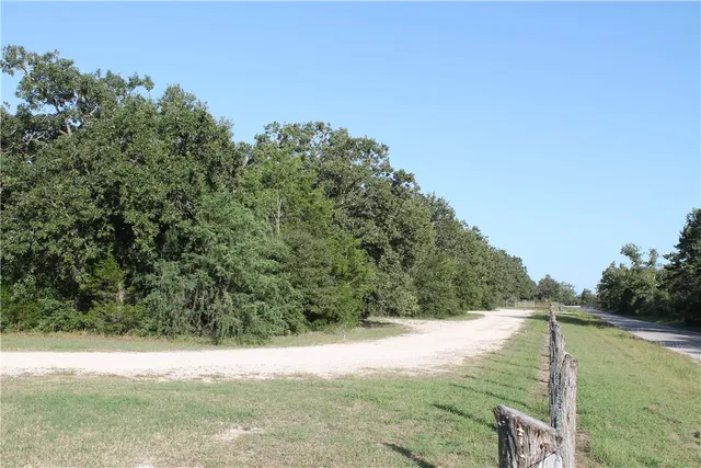 a view of a yard with a tree