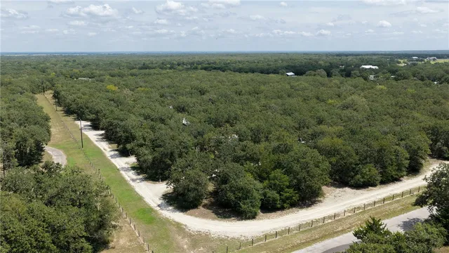 a view of a forest with a yard