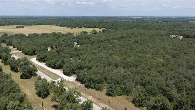 an aerial view of residential houses with outdoor space and trees